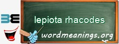 WordMeaning blackboard for lepiota rhacodes